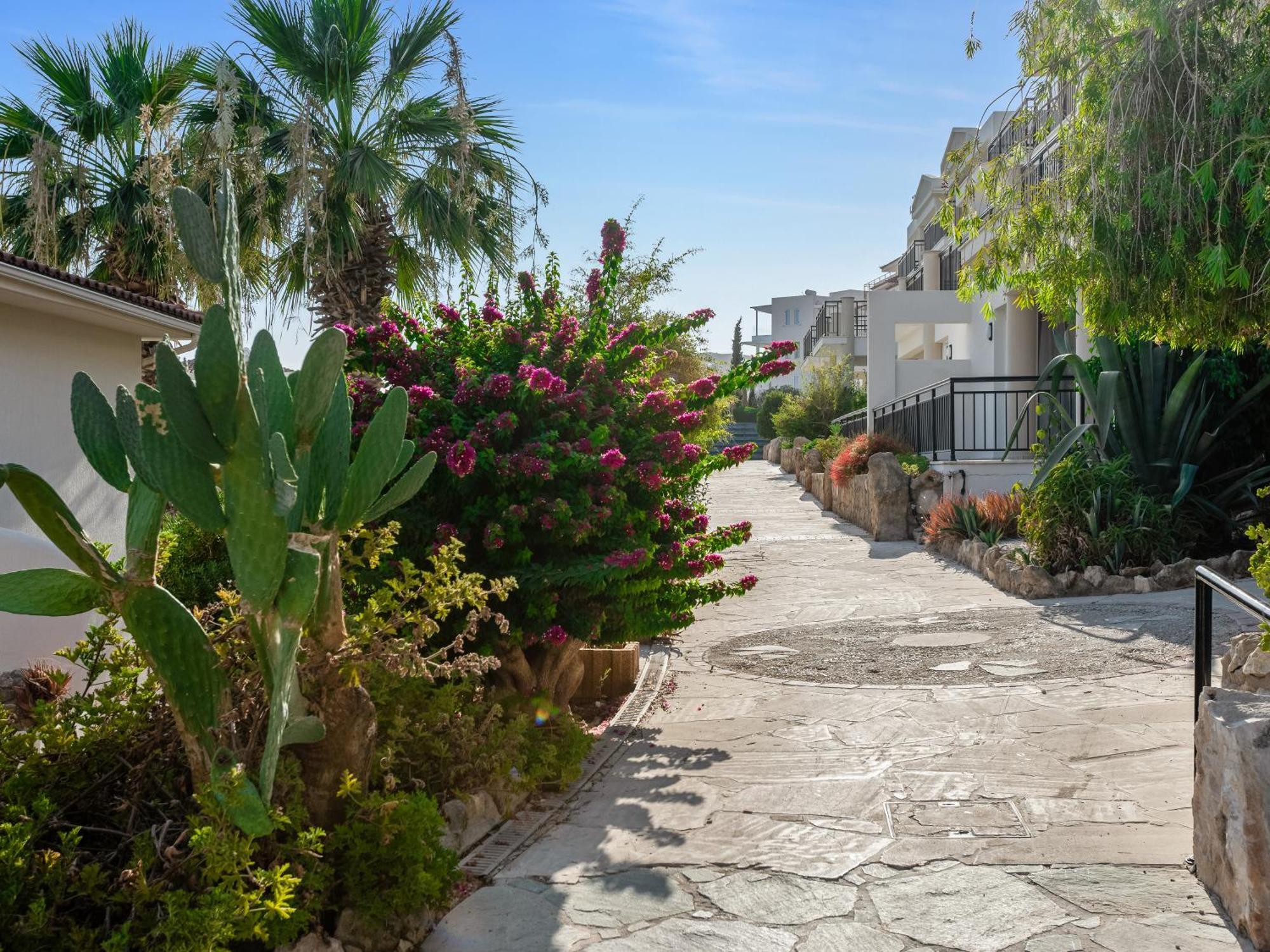 Sanders Seaview Χλώρακα Εξωτερικό φωτογραφία